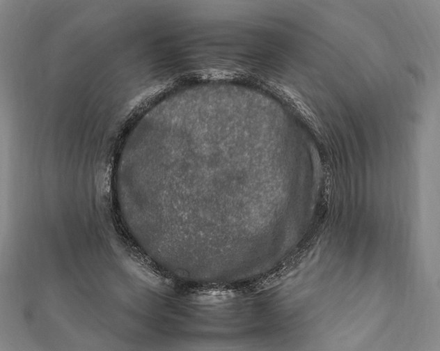 X0000112010543200908241457