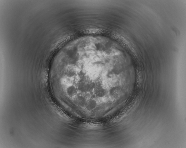 X0000112010545200908241457