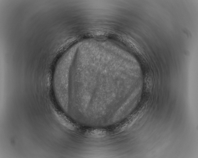 X0000112010546200908241457