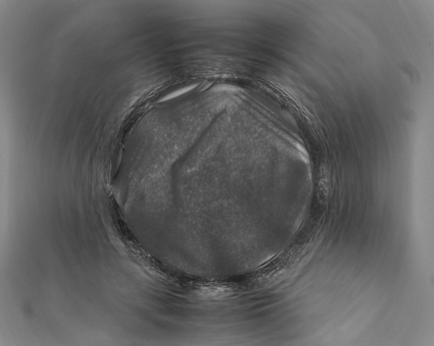 X0000112010547200908241457