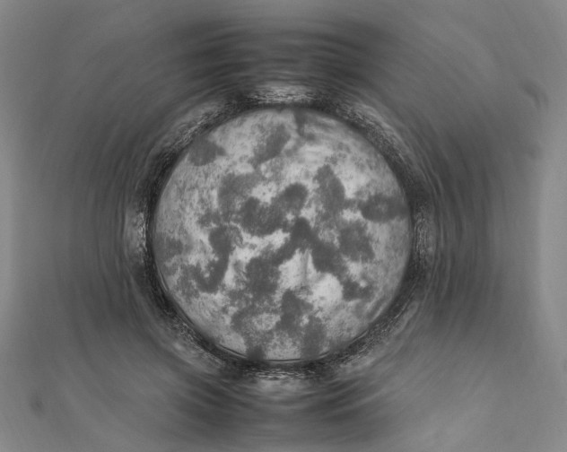 X0000112010549200908241457