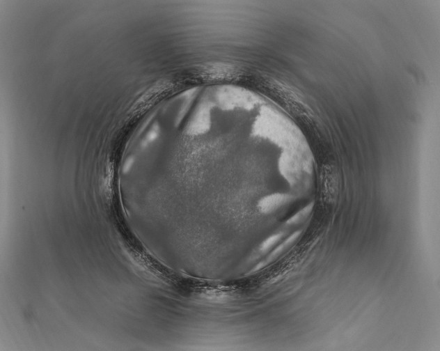 X0000112010550200908241457