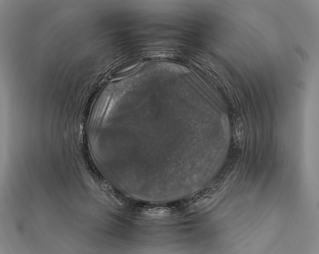 X0000112010551200908241457