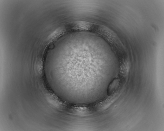 X0000112010552200908241457