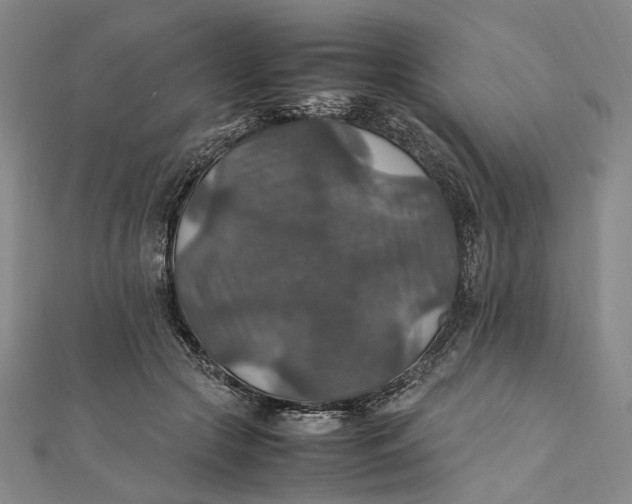 X0000112010553200908241457