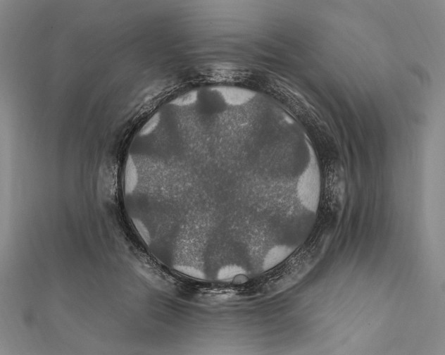 X0000112010554200908241457