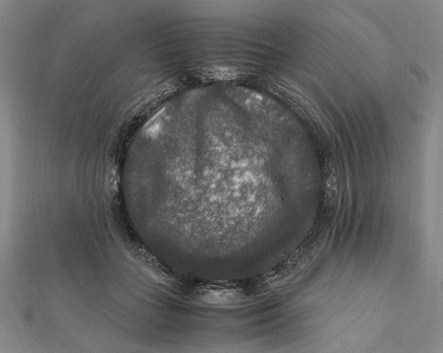 X0000112010555200908241457