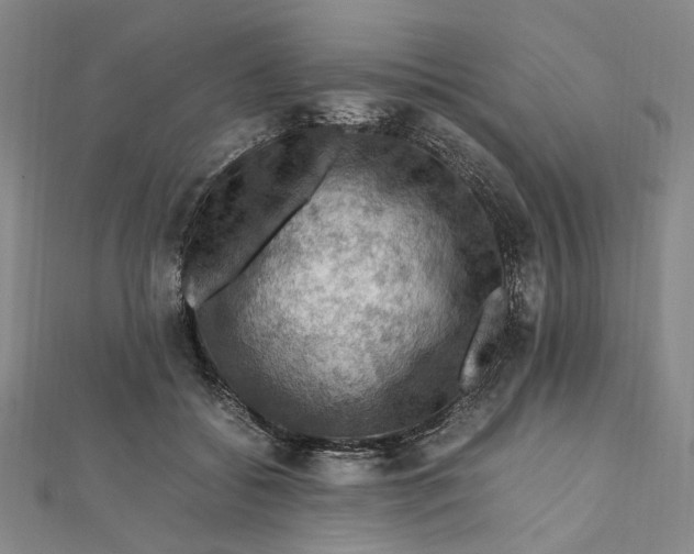 X0000112010556200908241457