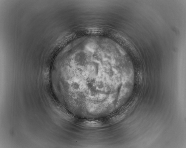 X0000112010557200908241457