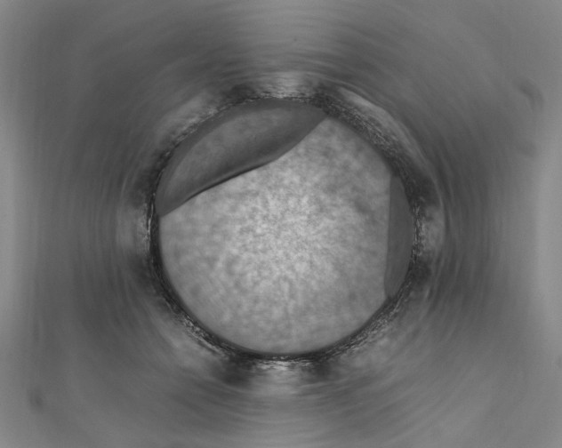 X0000112010558200908241457