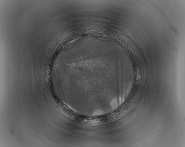 X0000112010559200908241457