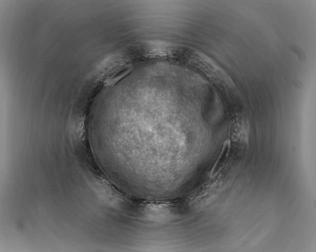 X0000112010560200908241457