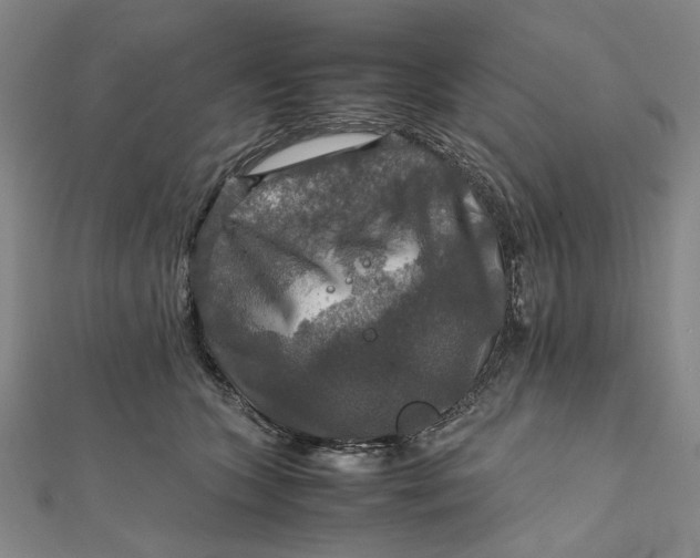 X0000112010563200908241457