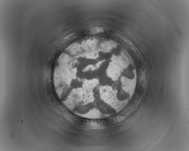 X0000112010565200908241457