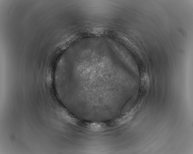 X0000112010566200908241457