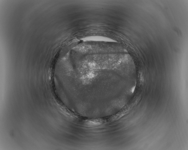 X0000112010567200908241457