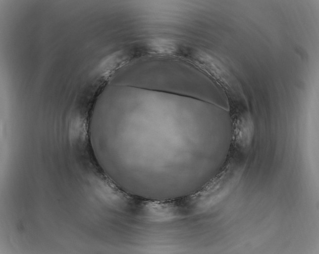 X0000112010568200908241457