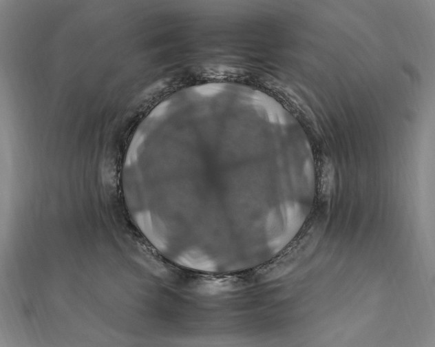 X0000112010569200908241457