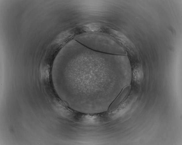 X0000112010570200908241457