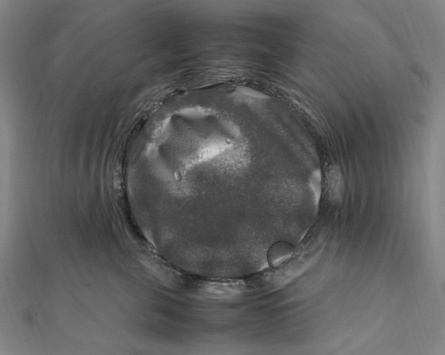 X0000112010571200908241457