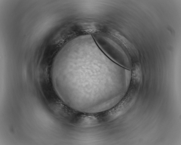 X0000112010572200908241457