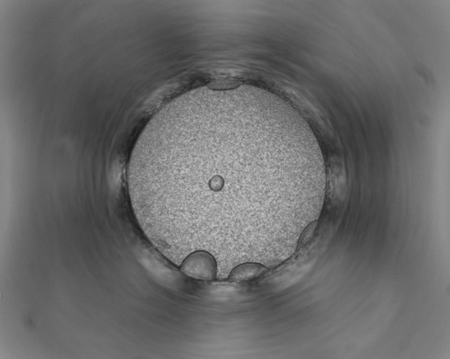 X0000112010574200908241457