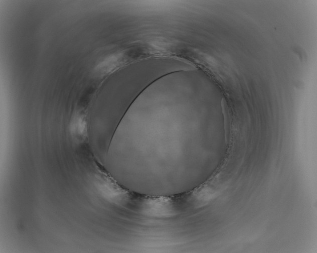 X0000112010576200908241457