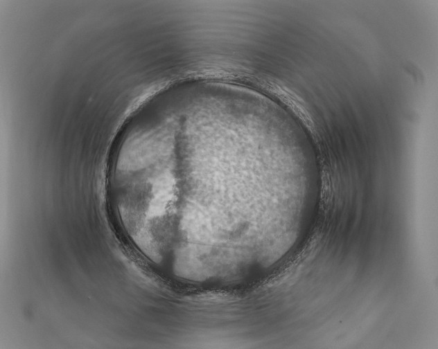 X0000112010578200908241456