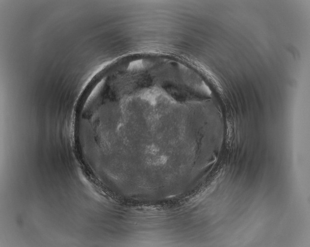 X0000112010580200908241456