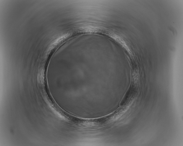 X0000112010581200908241456