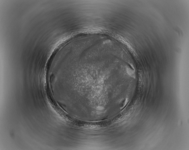 X0000112010582200908241456