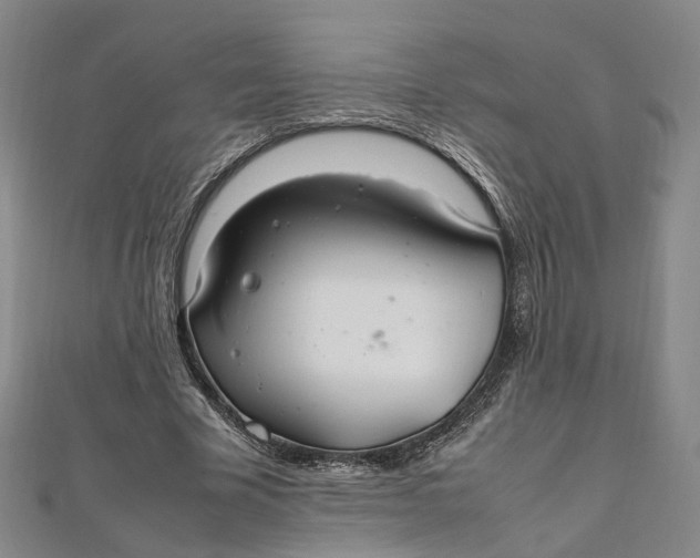 X0000112010585200908241456