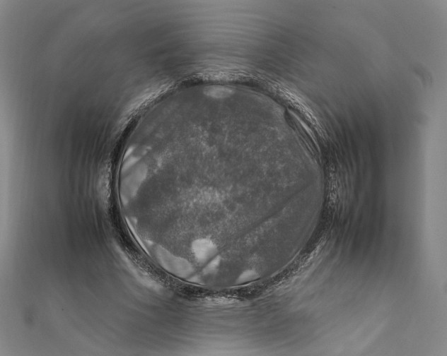 X0000112010586200908241456