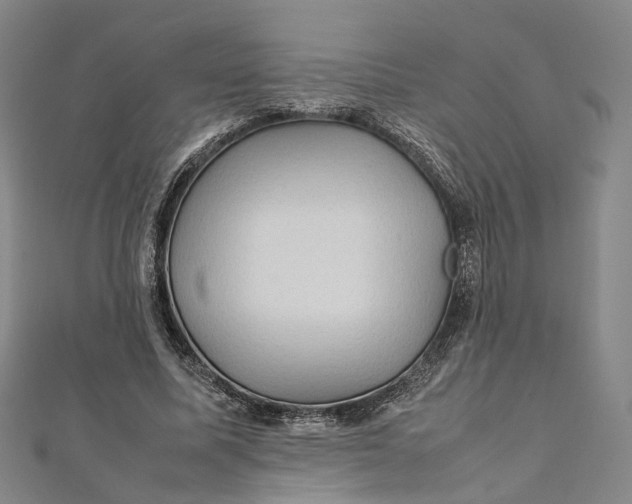 X0000112010587200908241456