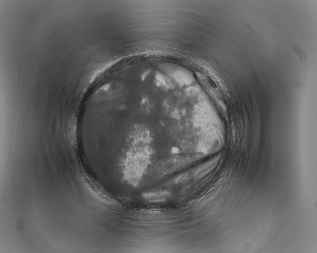 X0000112010588200908241456