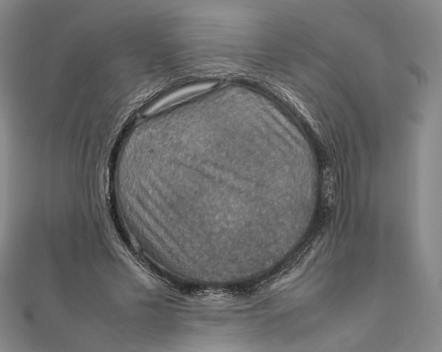 X0000112010589200908241456