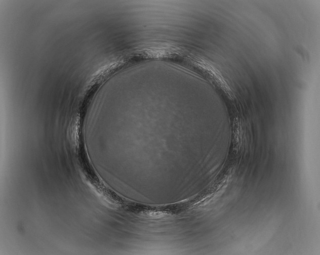 X0000112010590200908241456