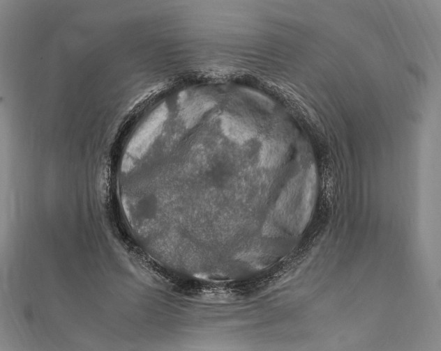 X0000112010591200908241456