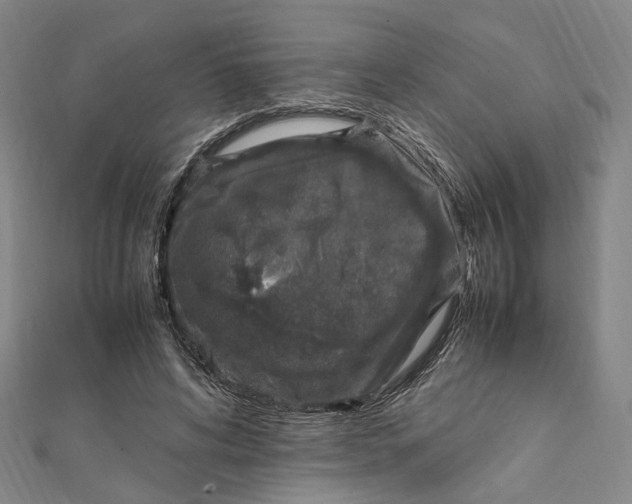 X0000112010592200908241456