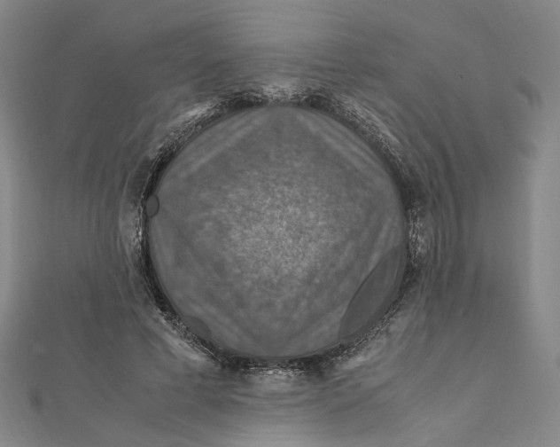 X0000112010593200908241456