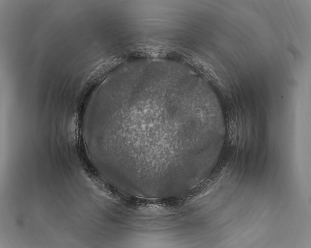 X0000112010594200908241456