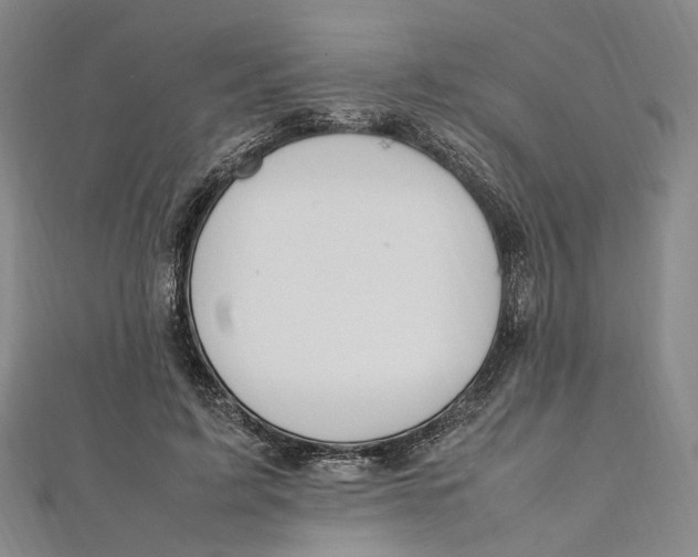 X0000112010595200908241456