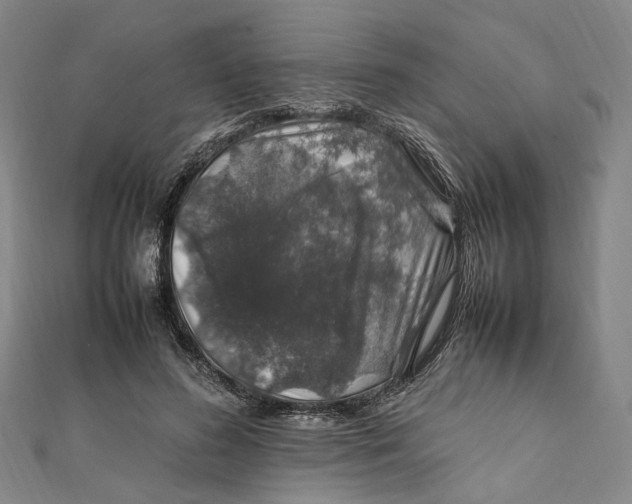 X0000112010596200908241456