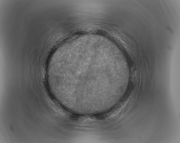 X0000112010597200908241456