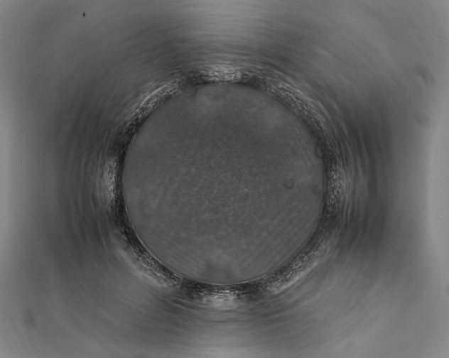 X0000112010600200908241456