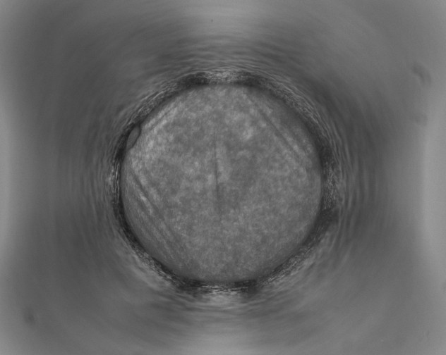 X0000112010601200908241456