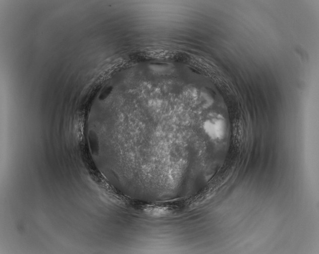 X0000112010602200908241456