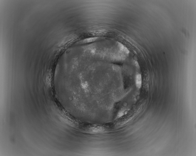 X0000112010604200908241456