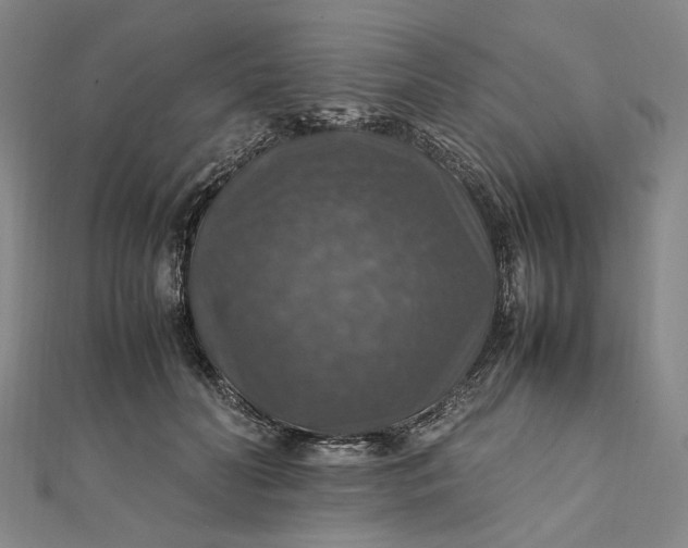 X0000112010606200908241456