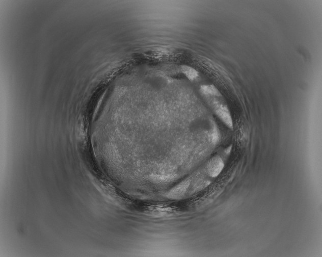 X0000112010607200908241456